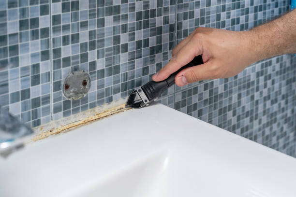 Best Affordable Mold Removal  in Puget Island, WA
