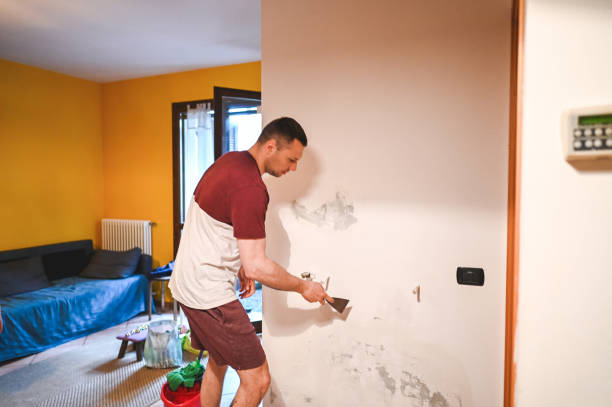 Best Mold Testing and Removal  in Puget Island, WA
